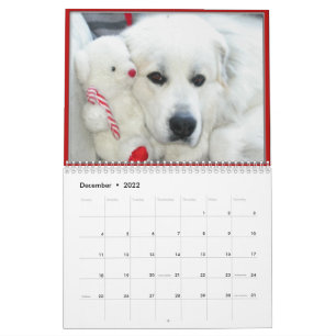 Great Pyrenees Calendar