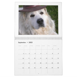  Great Pyrenees Calendar