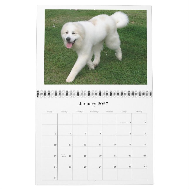 Great Pyrenees Calender Calendar (Jan 2027)