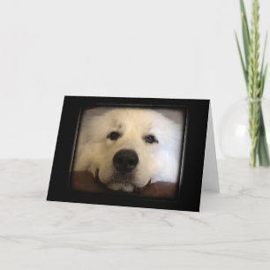 Great Pyrenees Card