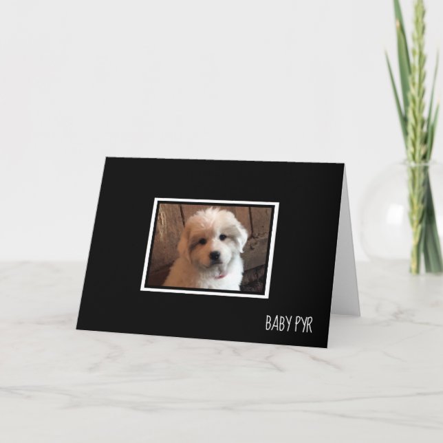Great Pyrenees Card (Front)