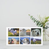 Great Pyrenees Collage (Standing Front)