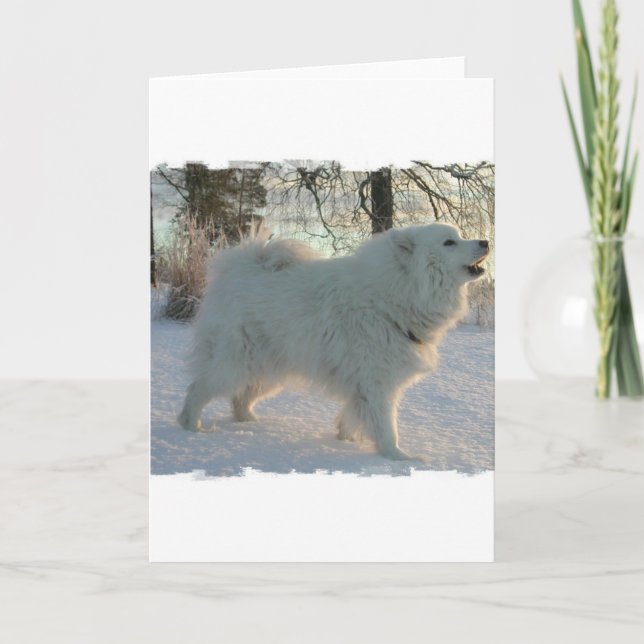 Great Pyrenees Dog Greeting Card (Front)