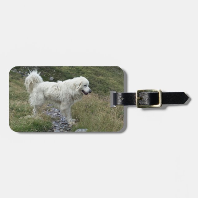 great pyrenees full luggage tag (Front Horizontal)