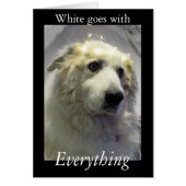 Great Pyrenees, Gentle Giant (Front)