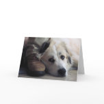 Great Pyrenees, Gentle Giant Card Great Pyrenees, Gentle Giant Card