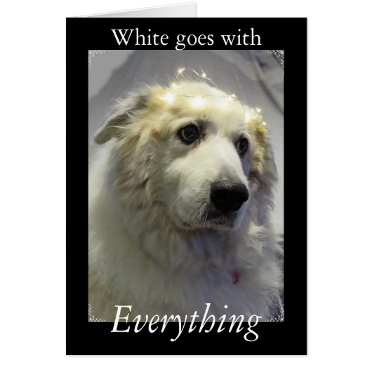 Great Pyrenees, Gentle Giant Cards (Front)