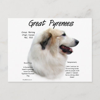 Great Pyrenees History Design Postcard