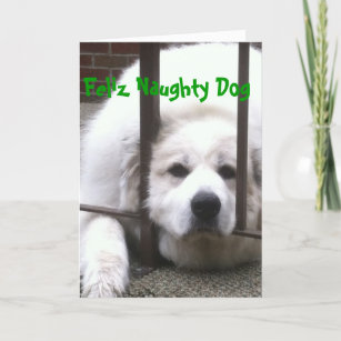 great pyrenees items
