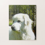 Great Pyrenees Jigsaw Puzzle at Zazzle