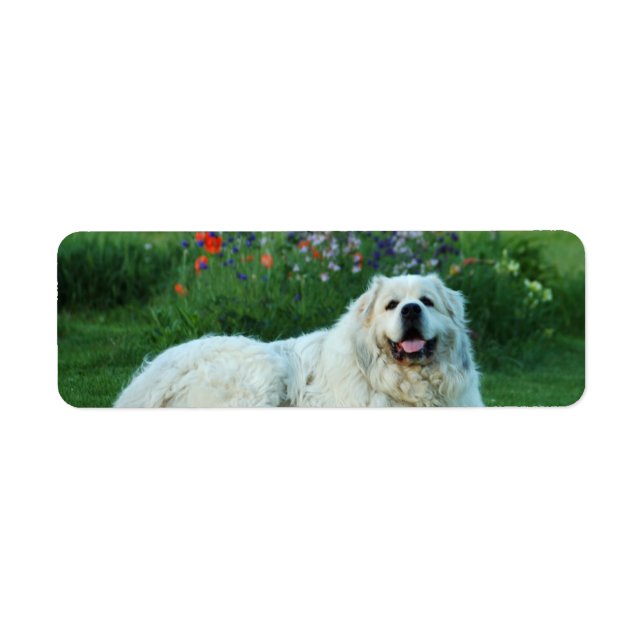 Great Pyrenees Label (Front)