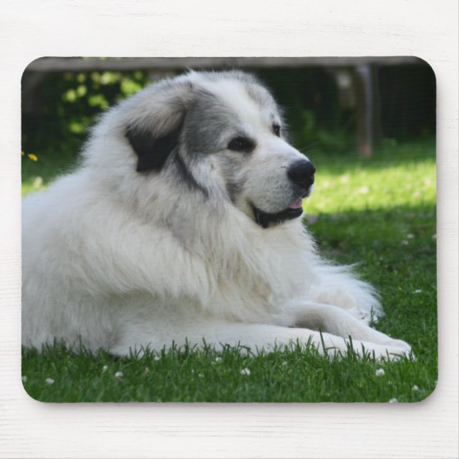 Great Pyrenees Mousepad (Front)