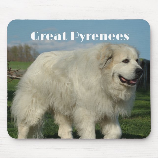 Great Pyrenees Mousepad (Front)