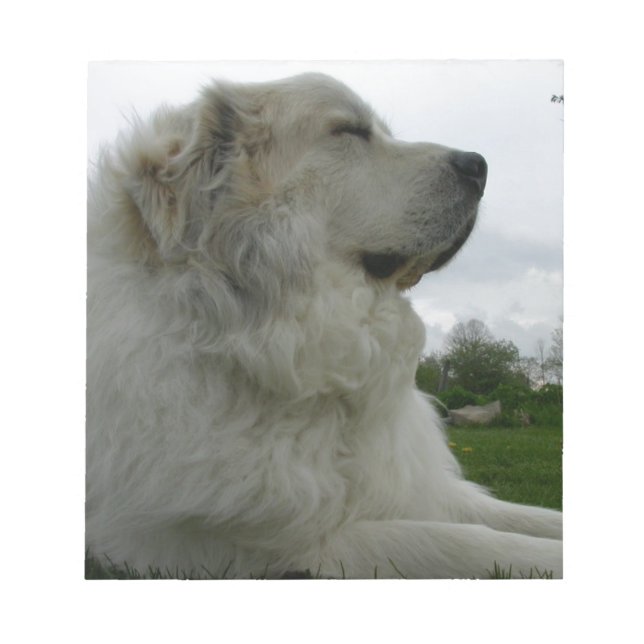 Great Pyrenees Notepad (Front)