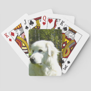 great pyrenees poker cards