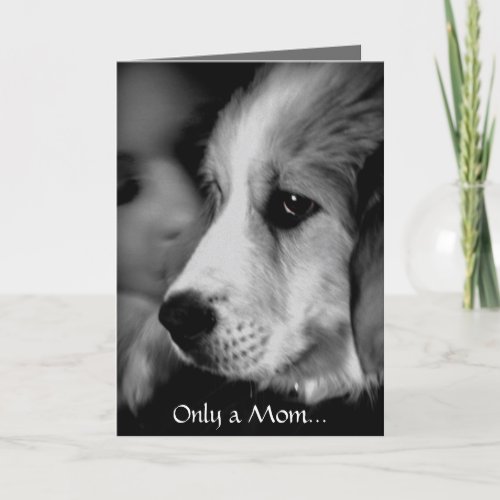 Great Pyrenees Puppy  Mothers Day Card