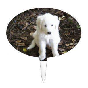 Great Pyrenees Puppy Rose Cake Topper
