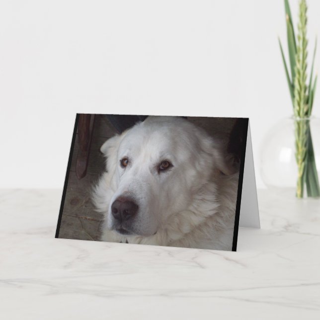 Great Pyrenees saying I Love You Card (Front)