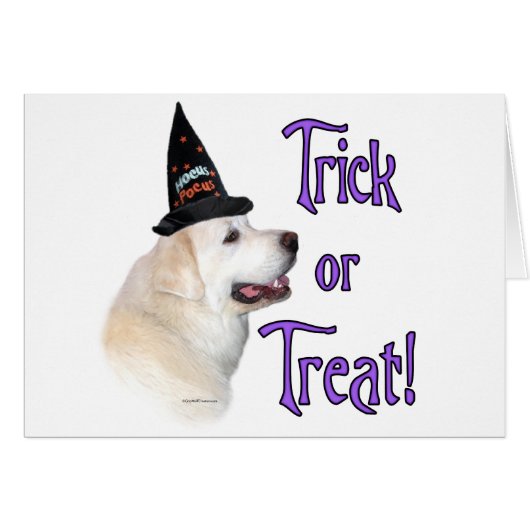 Great Pyrenees Trick Cards (Front Horizontal)