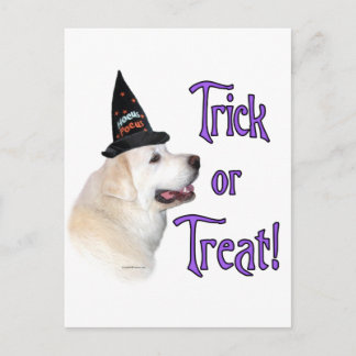 Great Pyrenees Trick Postcard
