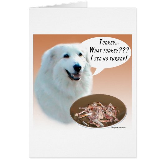 Great Pyrenees Turkey Cards (Front)