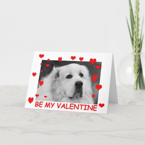 Great Pyrenees Valentines Card