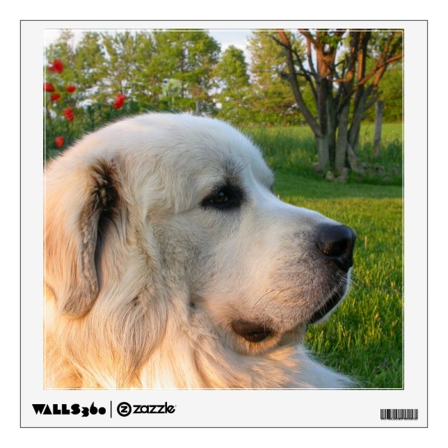 Great Pyrenees Wall decal (Front)
