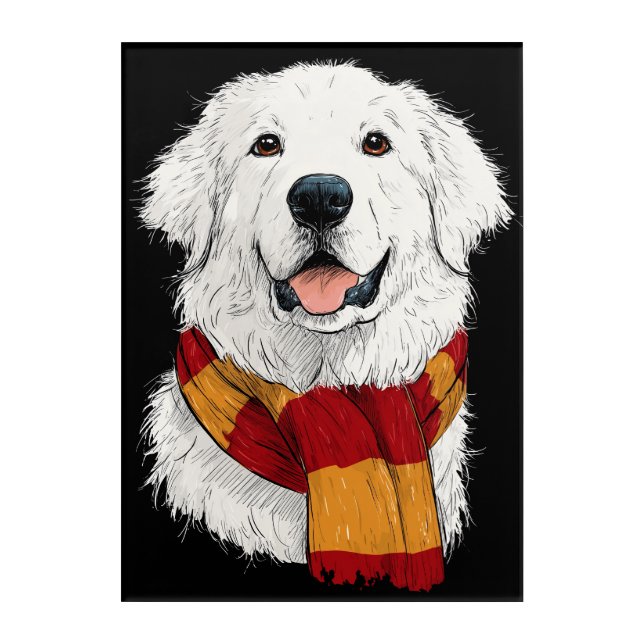 Great Pyrenees Wearing a Scarf Acrylic Print (Front)