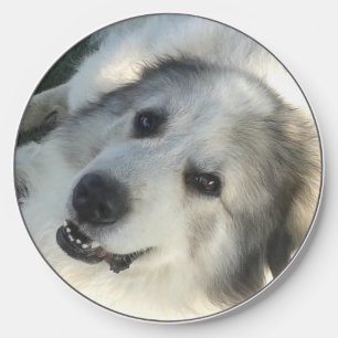 Great Pyrenees  Wireless Charger