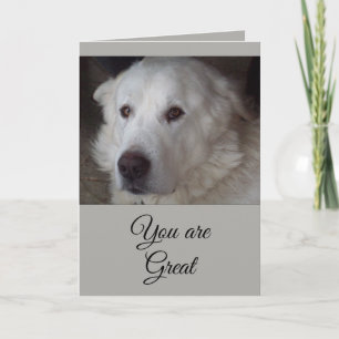 Great Pyrenees - You are Great Letterpress Thank You Card
