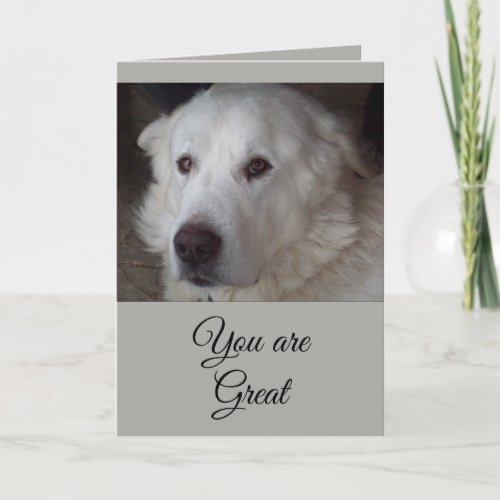 Great Pyrenees _ You are Great Thank You Card