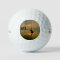 Great Sacandaga Lake Golf Ball