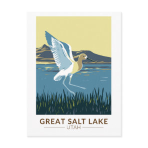 Great Salt Lake American Avocet Travel Art Vintage Postcard