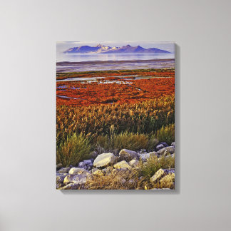 Great Salt Lake Canvas Print