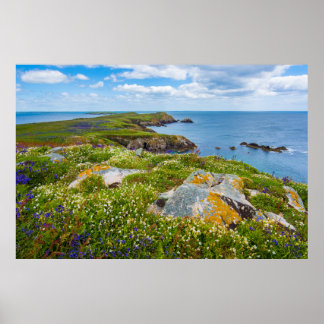 GREAT SALTEE, SALTEE ISLANDS, IRELAND POSTER