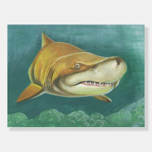 Great Sand Shark Foam Board