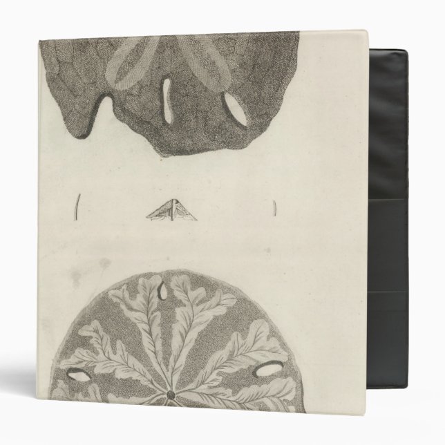 Great Sea Urchins Binder (Front/Inside)
