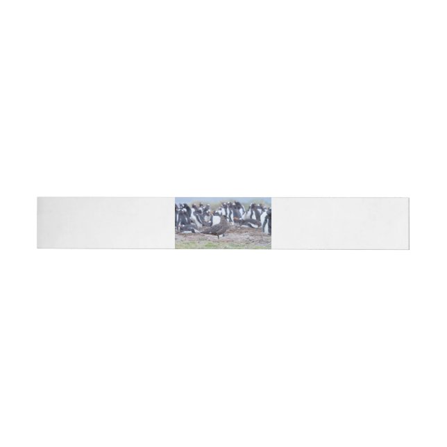 Great Skua in front of penguin colony Wrap Around Address Label (Individual)