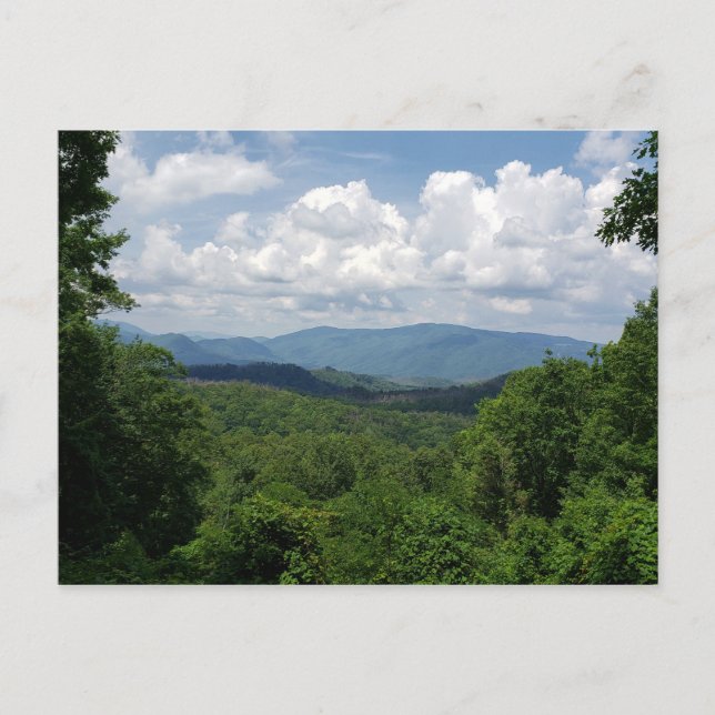 Great Smokey Mountains National Park in Gatlinburg Postcard (Front)