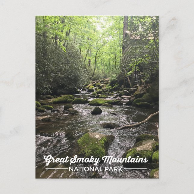 Great Smoky Mountain National Park Postcard (Front)