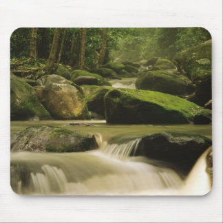Great Smoky Mountain National Park, TN 2 Mouse Pad