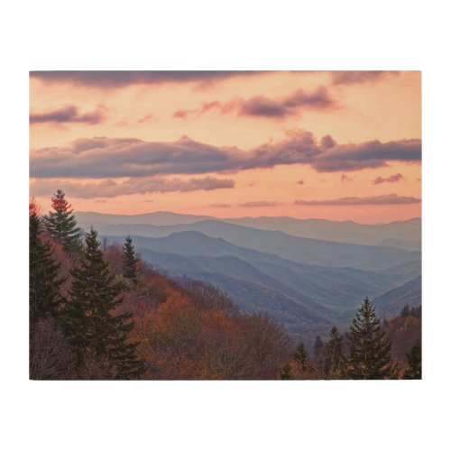 Great Smoky Mountain National Park Wood Wall Art