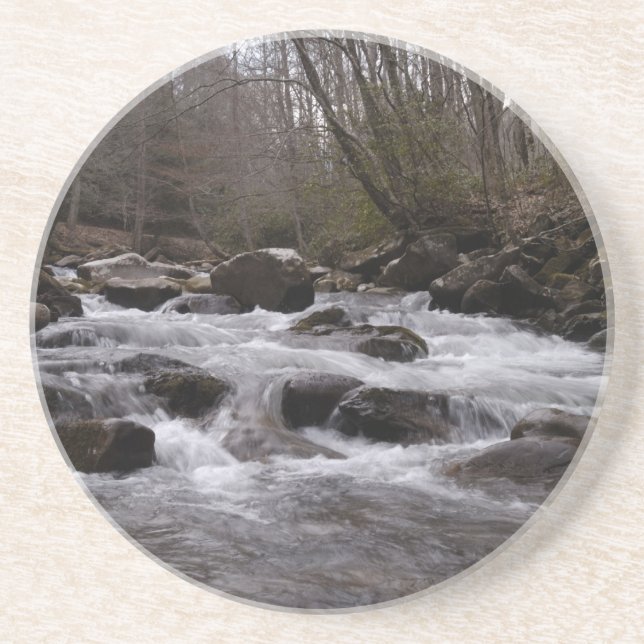 great smoky mountains 2 drink coaster (Front)