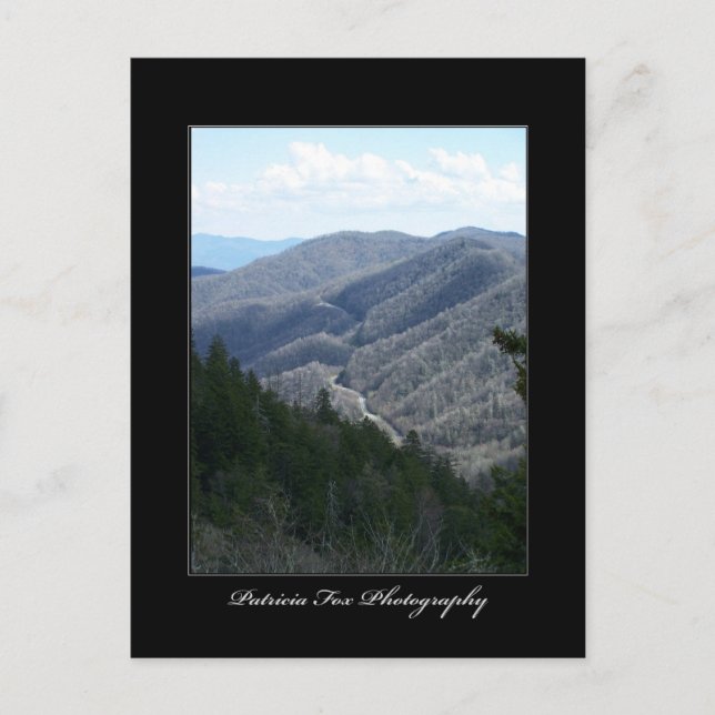 Great Smoky Mountains 3 - Postcard (Front)