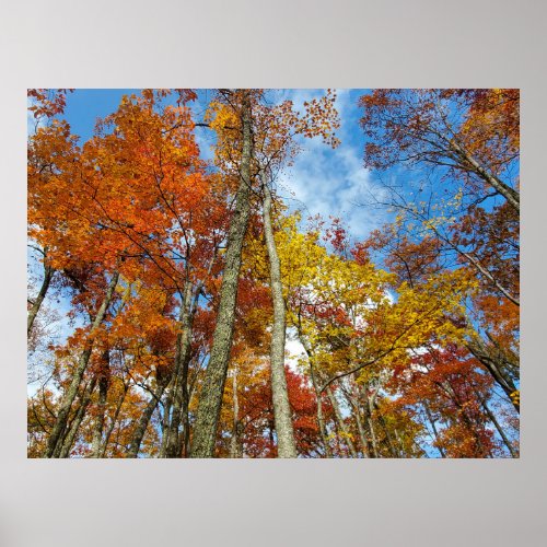 Great Smoky Mountains Colorful Fall Leaves Poster