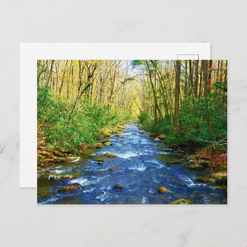 Great Smoky Mountains Creek _ Babbling Brook Postcard