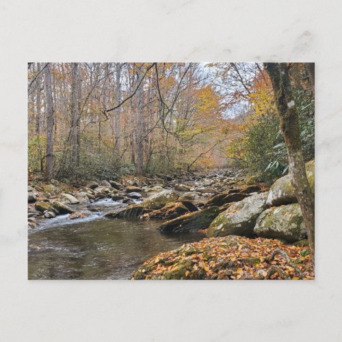 Great Smoky Mountains Fall Autumn River Postcard