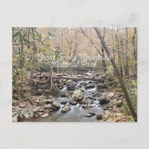 Great Smoky Mountains Fall Leaves River Postcard