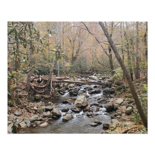 Great Smoky Mountains Fall Leaves River Poster