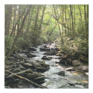 Great Smoky Mountains Mountain Stream Faux Canvas Print